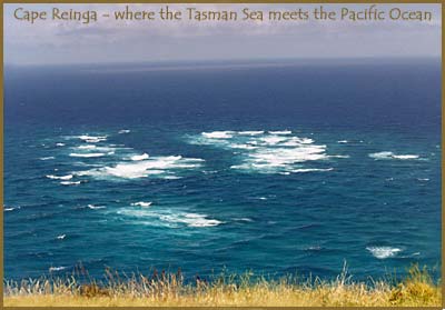 Cape Reinga - where the Tasman Sea meets the Pacific Ocean