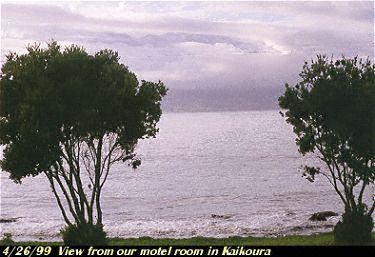 sea Kaikoura